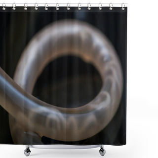 Personality   Macro Photo Of Toxocara Canis Roundworm From A Dog  Shower Curtains