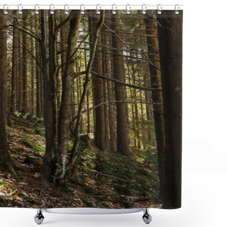 Personality  Trees On Hill In Mountain Forest  Shower Curtains