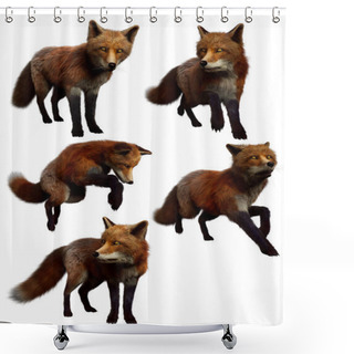 Personality  Fantasy Red Foxes In Action Poses, CGI Render Shower Curtains