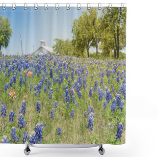Personality  Colorful Bluebonnet Blossom At Farm In North Texas, America Shower Curtains