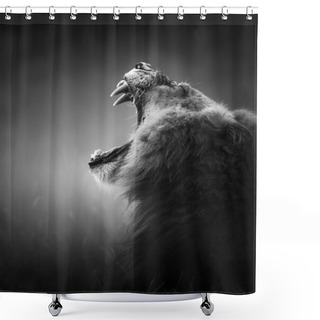 Personality  Lion Displaying Dangerous Teeth Shower Curtains