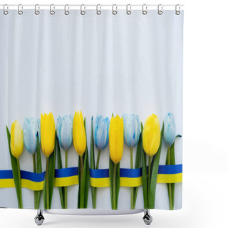 Personality  Top View Of Blue And Yellow Tulips And Ribbon On White Background  Shower Curtains