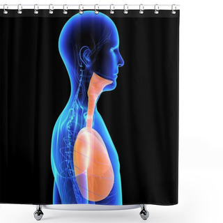 Personality  Human Lungs, Human Anatomy Shower Curtains