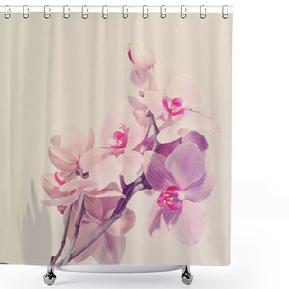 Personality  Orchid Beautiful Flowers Shower Curtains