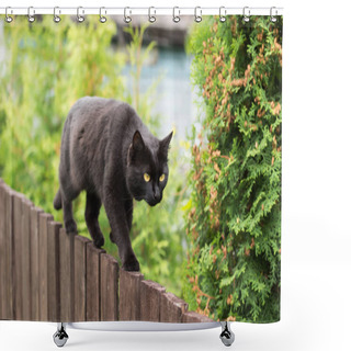 Personality  Bombay Black Cat Walking On Wooden Fence In Village Garden Shower Curtains