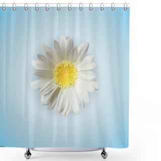 Personality  Vector Chamomile Flower Isolated Shower Curtains
