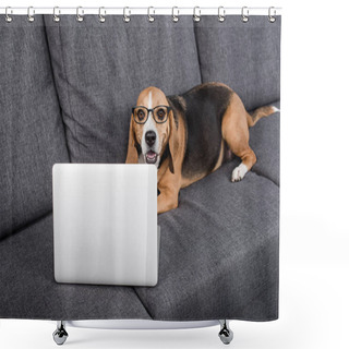 Personality  Beagle Dog With Laptop Shower Curtains
