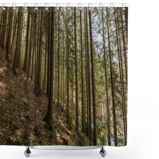 Personality  Coniferous Trees On Hill In Mountains  Shower Curtains