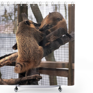 Personality  Nosuh Couple Playing At The Tree Shower Curtains