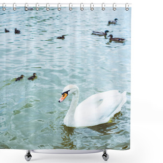 Personality  High Angle View Of White Swan Swimming In Blue Pond With Adorable Ducklings Shower Curtains