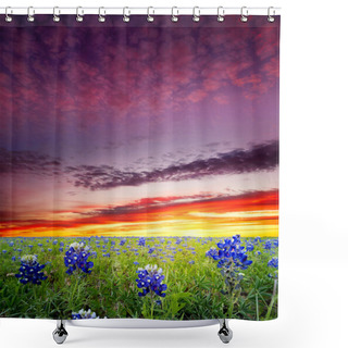 Personality  Open Meadow Containing Numerous Bluebonnets Under A Colorful Dawn Sky Shower Curtains
