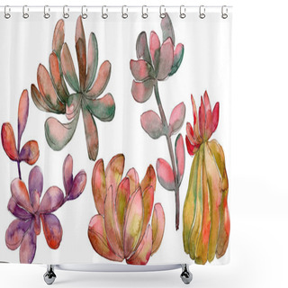 Personality  Jungle Succulent Floral Botanical Flower. Wild Spring Leaf Wildflower Isolated. Watercolor Background Set. Watercolour Drawing Fashion Aquarelle. Isolated Succulent Illustration Element. Shower Curtains