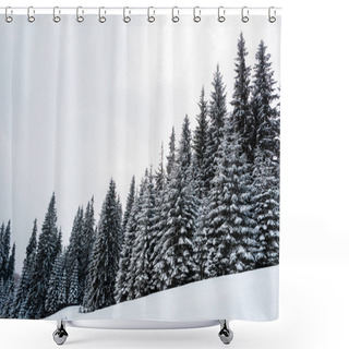 Personality  Scenic View Of Pine Forest With Tall Trees Covered With Snow On Hill Shower Curtains
