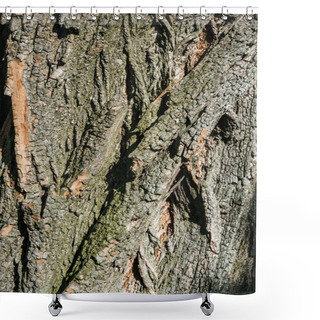 Personality  Vertical Texture Of Dry Tree Bark With Daylight Shower Curtains