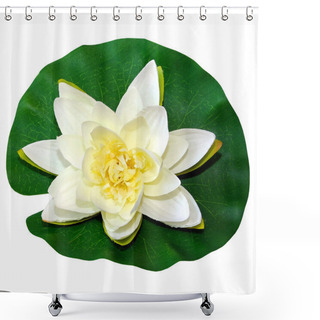 Personality  White Water Lily Shower Curtains