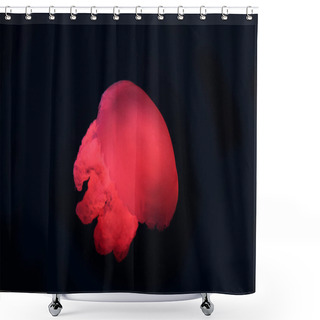 Personality  Blue Blubber Jellyfish With Red Neon Light On Black Background Shower Curtains