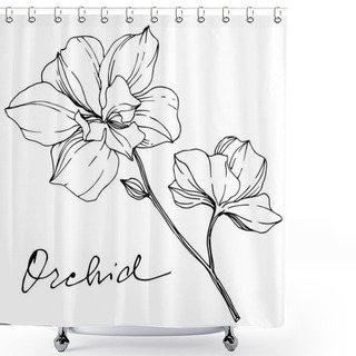 Personality  Vector Monochrome Orchids With Orchid Lettering Isolated On White. Engraved Ink Art. Shower Curtains