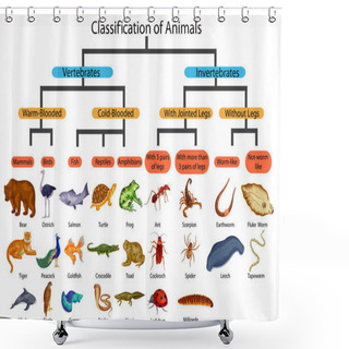 Personality  Education Chart Of Biology For Classification Of Animals Diagram Shower Curtains