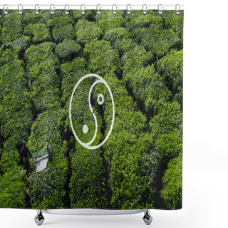 Personality  Pickers Harvesting Tea Leaves Shower Curtains