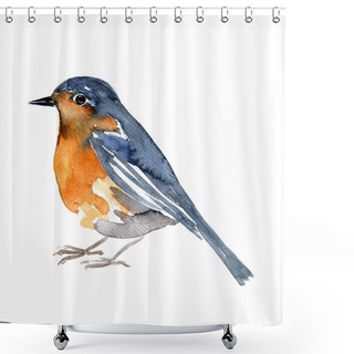 Personality  Watercolor Drawing Bird Shower Curtains