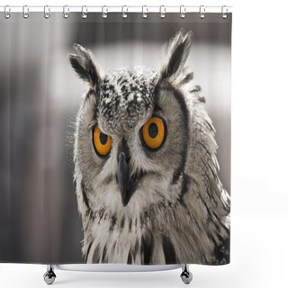 Personality  Hypnotic Owl Shower Curtains