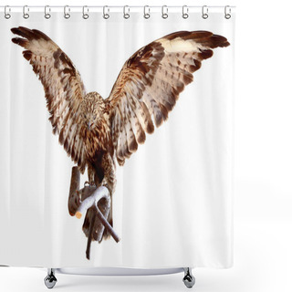 Personality  Stuffed Eagle Shower Curtains