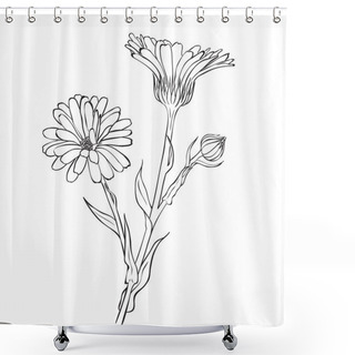 Personality  Hand Drawn Flowers - Calendula Officinalis Or Pot Marigold Shower Curtains