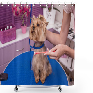 Personality  Groomer Grooming Dog Shower Curtains