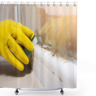Personality  Woman Is Cleaning A Lot Of Black Mold Fungus Growing On The Windowsill At Home. Dampness Problem Concept. Condensation On The Window. Shower Curtains