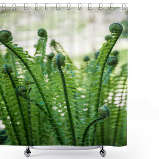 Personality  Close Up Image Of Beautiful Green Fern On Blurred Background  Shower Curtains
