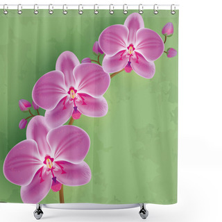 Personality  Floral Vintage Background Green With Flower Orchid Shower Curtains