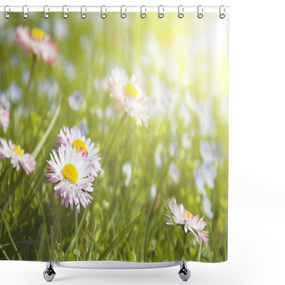Personality  Daisy Flowers (Shallow DOF) Shower Curtains