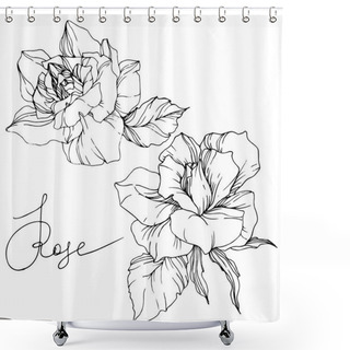 Personality  Beautiful Vector Rose Flowers Isolated On White Background. Black And White Engraved Ink Art. Shower Curtains