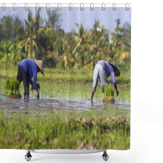 Personality  Farmers Gathering Rice Shower Curtains