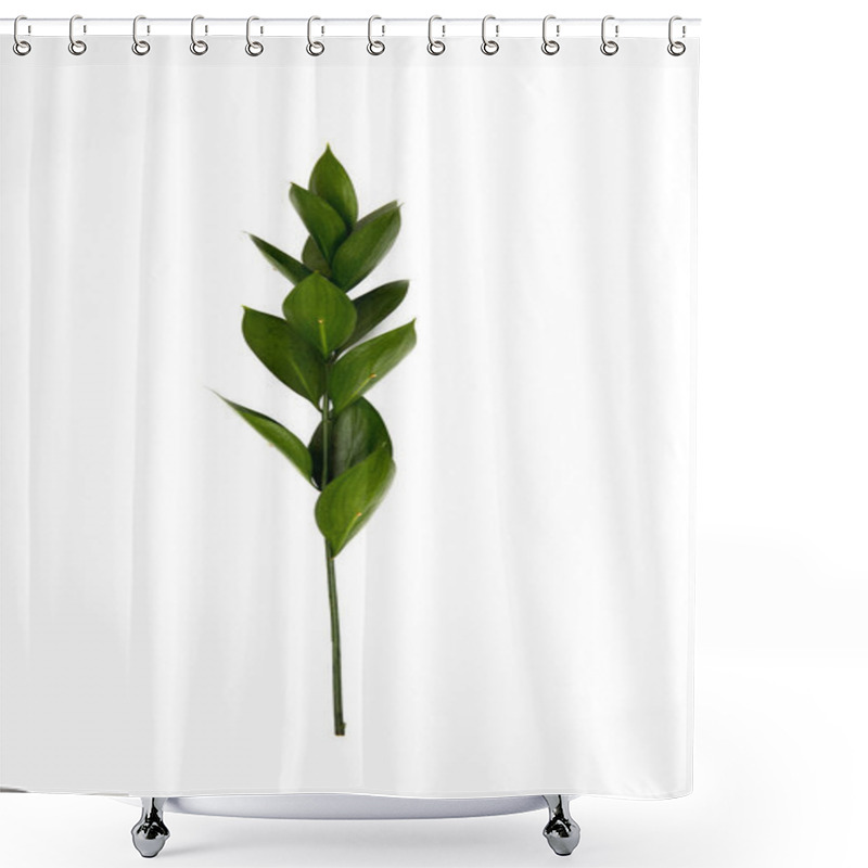 Personality  Twig With Green Leaves Isolated On White Shower Curtains