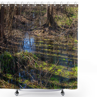 Personality  Swamp In Forest Shower Curtains
