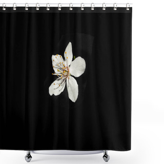 Personality  Flower Isolated On White Background Shower Curtains