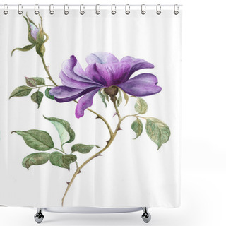 Personality  Flowers A Branch Of Roses With Leaves, Flowers And Buds. Watercolor. Use Printed Materials, Signs, Objects, Websites, Maps, Posters, Postcards, Packaging. Shower Curtains