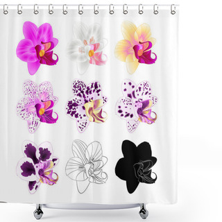 Personality  Orchid Phalaenopsis Various Colours Natural, Outline, Silhouette,flower Fifth On A White Background Vintage Vector Editable Illustration Hand Draw  Shower Curtains