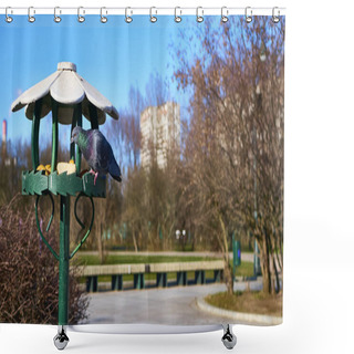 Personality  Central Alley In The Lilac Garden Of Moscow Shower Curtains