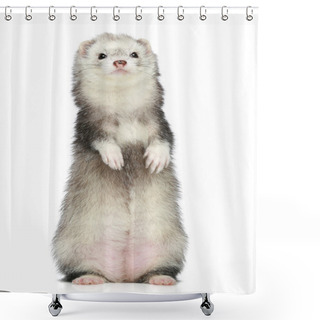 Personality  Ferret Standing On A White Background Shower Curtains