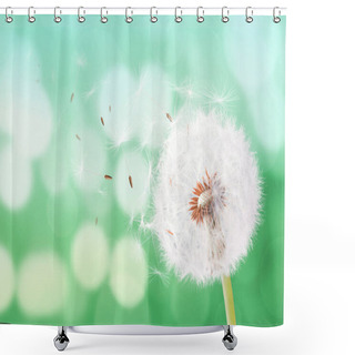 Personality  Dandelion Flying On Bokeh Background Shower Curtains