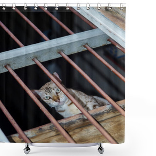 Personality  Cat In The Cage Shower Curtains
