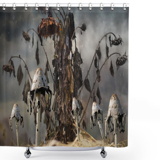 Personality  Witch Flowers Against Gloomy Clouds Shower Curtains