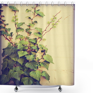 Personality  Bindweed Plant Shower Curtains