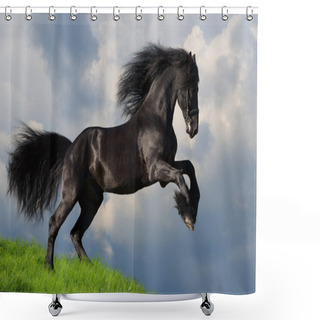 Personality  Black Friesian Horse Gallop In Field Shower Curtains
