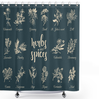 Personality  Herbs And Spices Set. Shower Curtains