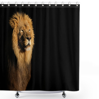 Personality  Male African Lion On Black Shower Curtains