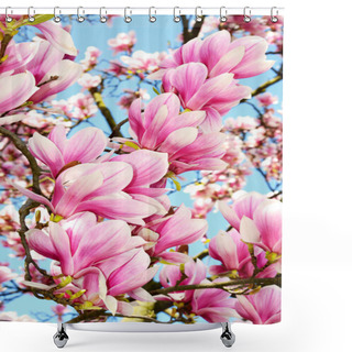 Personality  Magnolia Shower Curtains