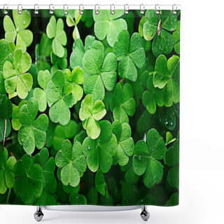 Personality  Background Green Shamrock/ Nature Background, Fresh Green Juicy Color, Shamrock Plant Shower Curtains
